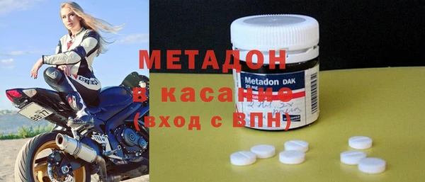 индика Аркадак