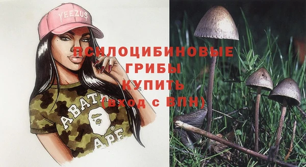 индика Аркадак