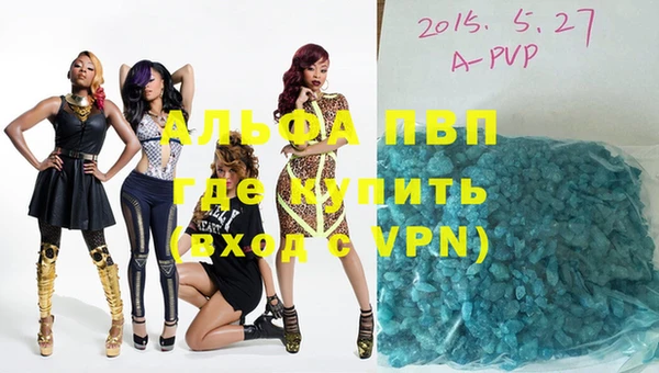 индика Аркадак