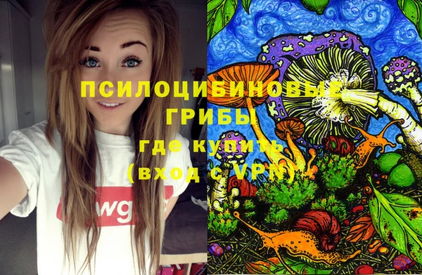 таблы Арсеньев
