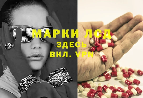 индика Аркадак