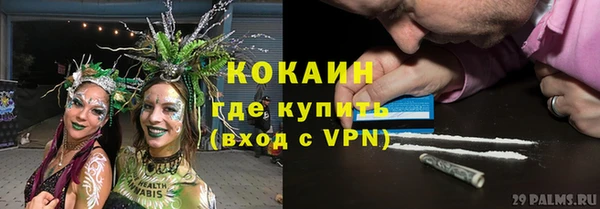 крисы Армянск